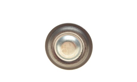 Фото 2 - Рычаг KAPIMSAN 06-04501 (0604501)