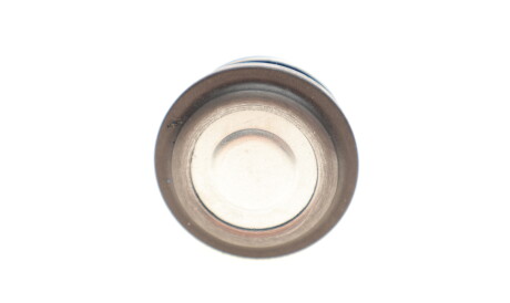 Фото 2 - Ричаг KAPIMSAN 09-04803 (0904803)