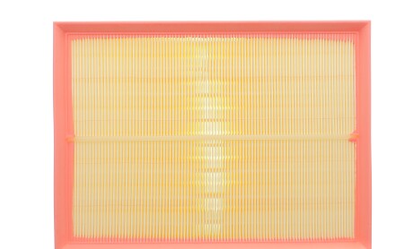 Фільтр повітряний Land Rover Discovery 04-18/Range Rover Sport 2.7D-4.4 05-13 - KAVO FAF-10231