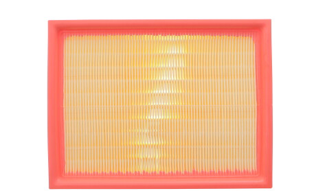 Фільтр повітряний Citroen C4/Peugeot 307 1.8 16V/2.0 16V 04- - KAVO FAF-10235