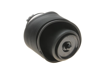 Фото 2 - Стійка амортизатору (амортизатор) KAVO SAS-10016 (SAS10016)