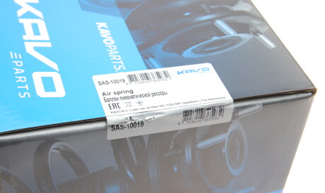 Фото 2 - Стійка амортизатору (амортизатор) KAVO SAS-10019 (SAS10019)