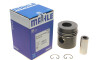 Поршень MAHLE - Knecht / Mahle 002 80 00 (фото 1)