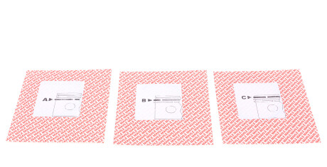 Фото 2 - Кільця поршневі Knecht / Mahle 010 29 N0 (01029N0)