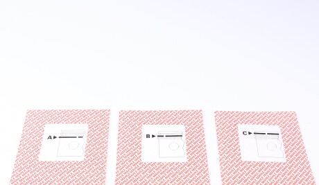 Фото 2 - Кольца поршневые Knecht / Mahle 011 54 N0 (01154N0)