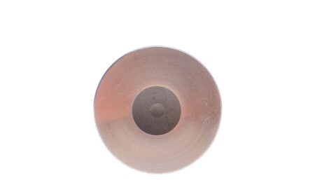 Фото 3 - Клапан выпускной Knecht / Mahle 021 VA 31061 000 (021VA31061000)