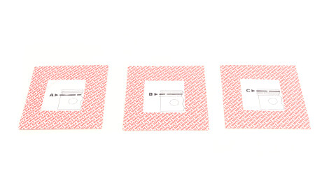 Фото 2 - Кільця поршневі Knecht / Mahle 029 55 N1 (02955N1)