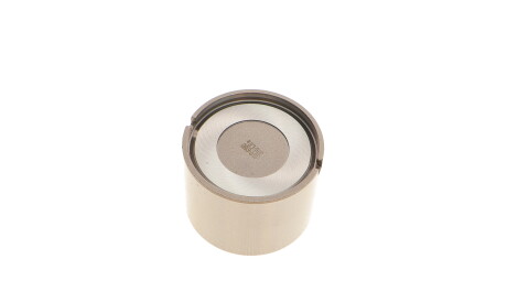 Фото 3 - Гідрокомпенсатори KOLBENSCHMIDT 50006180