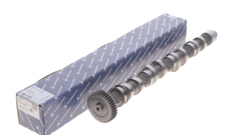 Фото 2 - Распредвал KOLBENSCHMIDT 50007022