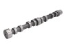 CAMSHAFT FIAT - (504096183) KOLBENSCHMIDT 50007033 (фото 2)