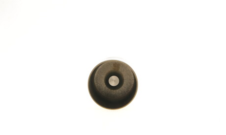 Фото 2 - Гідрокомпенсатори KOLBENSCHMIDT 50007540