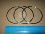 RINGSET IVECO 88,4 - KOLBENSCHMIDT 800070710040 (фото 1)