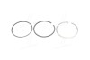 RINGSET FIAT 82,400 - KOLBENSCHMIDT 800073010040 (фото 1)