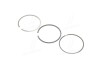 RINGSET FIAT 82,400 - KOLBENSCHMIDT 800073010040 (фото 3)