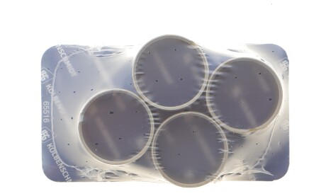 Втулка головки шатуна (4 шт, для обробки, сталева поверхня з бронзовим покриттям сплав алюміній-мідь на стальній базі) MERCEDES T2/L, T2/LN1, LK/LN2, LP, O 309, OF, UNIMOG, 60, 70 3.8D/4.0D 09.63- - KOLBENSCHMIDT 87355693