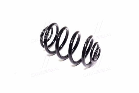 Фото 3 - Пружина підвіски KYB RJ6216