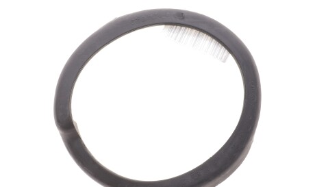 Фото 2 - Ресора LEMFORDER 16956 01 (1695601)