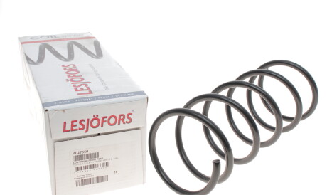 Фото 3 - Пружина підвіски LESJOFORS 4027559