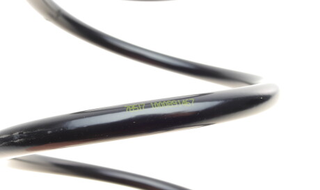 Фото 3 - Пружина підвіски LESJOFORS 4056856