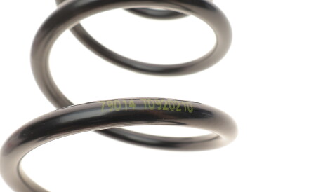 Фото 2 - Пружина підвіски LESJOFORS 4226144