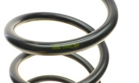 Фото 2 - Пружина підвіски LESJOFORS 4235730