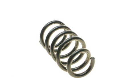 Фото 3 - Пружина підвіски LESJOFORS 4235770