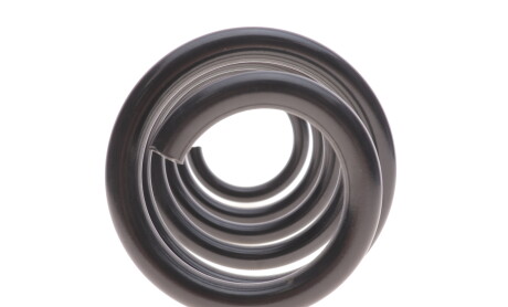 Фото 5 - Пружина підвіски LESJOFORS 4292624