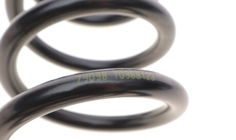 Фото 2 - Пружина підвіски LESJOFORS 4295086