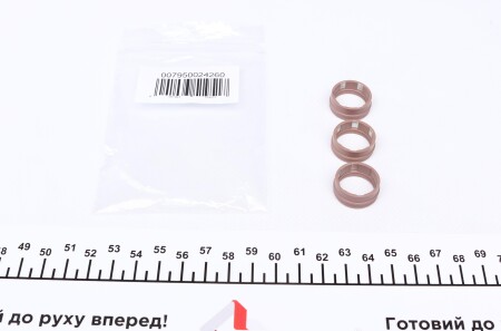 Кільця защільнювальні - MAGNETI MARELLI 007950024260