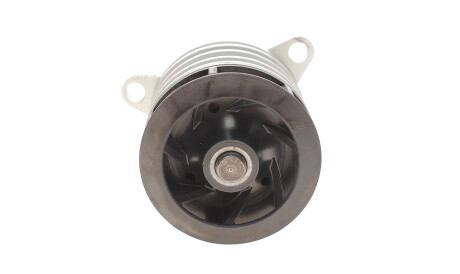 Фото 3 - Водяний насос MAGNETI MARELLI 352316171197