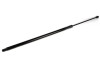 Амортизаторы багажника - ((645300W091, 645300W090)) MAGNETI MARELLI GS1007 (фото 1)