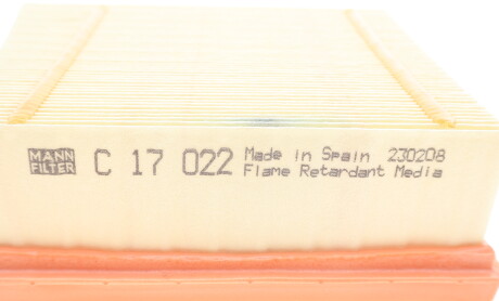 Фото 5 - Повітряний фільтр MANN C 17 022 (C17022)