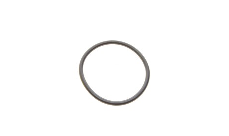 Фото 2 - Масляний фільтр MANN HU 6009 Z (HU6009Z)