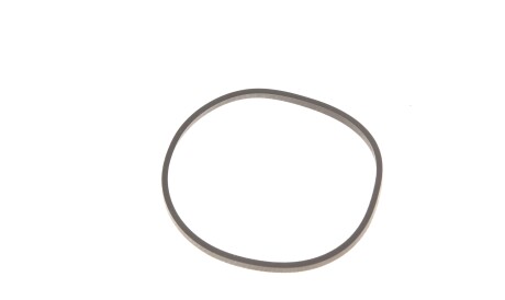 Фото 2 - Паливний фільтр MANN P 725X (P725X)