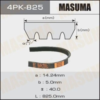 Ремінь поліклінової (4PK-825) - MASUMA 4PK825