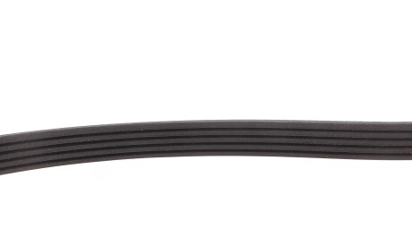 Фото 3 - Ремень приводной MEYLE 050 005 0884 (0500050884)