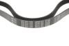 Ремінь генератора Citroen Jumper 2.0HDI (6PK1185) - (pqs101030, 9652746480, 9642430680) MEYLE 050 006 1185 (фото 4)