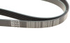 Ремень генератора Audi A4 1.6-2.0 00-08 (6PK1570) - ((A6659970292, 97WF6C301BA, 95WF6C301EB, 7516621, 7239510)) MEYLE 050 006 1570 (фото 5)