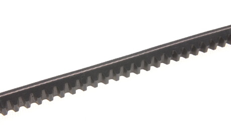 Фото 2 - Ремень приводной MEYLE 052 010 0925