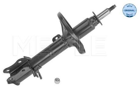Strut assy-rr (lh) * - ((96297200, 96300279, P96289901, 96289907, 96289901)) MEYLE 29267130001