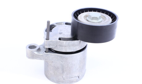 Фото 2 - Ролик ременя приводного MEYLE 300 903 1125 (3009031125)