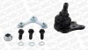 Опора кульова передняя нижня ліва AUDI A3 (96-06) /SEAT LEON (99-06) - (1J0407365A, 1J0407365B, 1J0407365C) MONROE L29536 (фото 1)