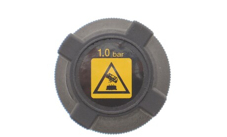 Кришка бачка розширювального Fiat Ducato 98- - MOTORAD T198