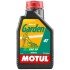 Моторна олива Garden 4T 30, 1 л - MOTUL 102787 (фото 1)