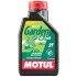 Моторна олива Garden 2T Hi-Tech, 1 л (834901) - MOTUL 102799 (фото 1)