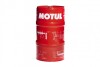 Моторное масло 8100 Eco-Clean 5W-30, 60 л (101546) - MOTUL 841561 (фото 1)