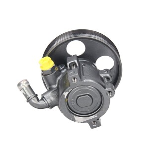 Фото 4 - Насос гидроусилителя MSG PE019R