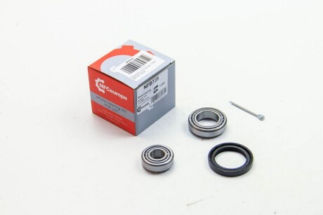 Подшипник ступицы зад. FORD ESCORT 80-90 - NFC EUROPE NFB728