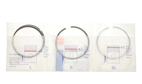 Фото 3 - Кольца поршневые NPR 120 007 0042 00 (120007004200)