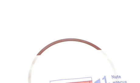 Фото 2 - Кольца поршневые NPR 120 035 0043 00 (120035004300)